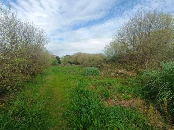 Terreno en cálago s/n
