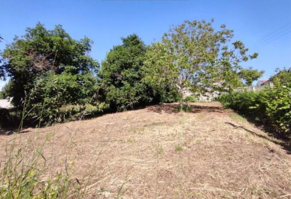 Terreno en calle Fonte Figueirido, 8