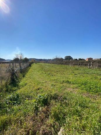 Terreno en calle da Guillerma s/n