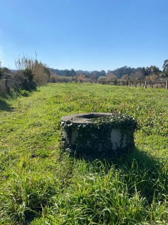Terreno en calle da Guillerma s/n