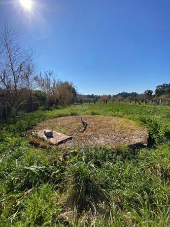 Terreno en calle da Guillerma s/n