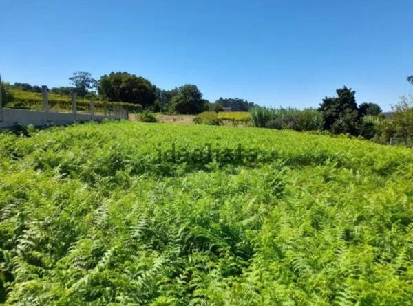 Terreno en Casal, Nantes Poligono 48, 170 Parcela