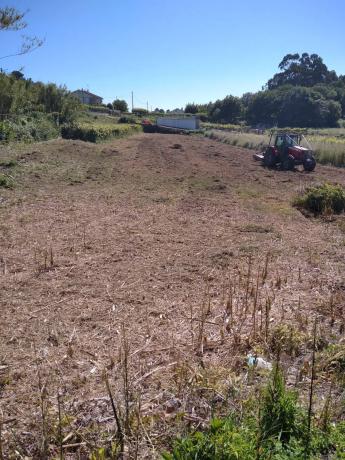 Terreno en calle Bamio