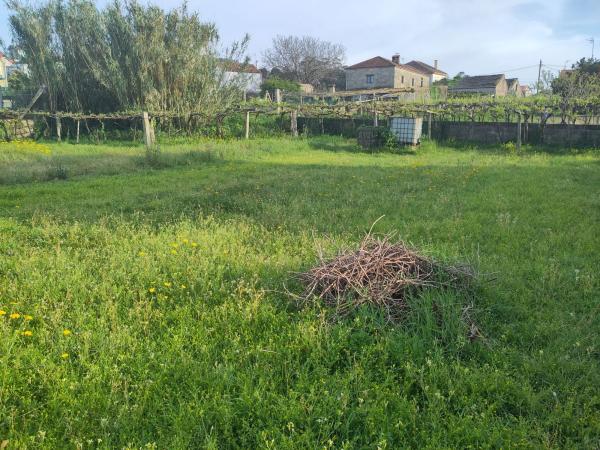Terreno en calle da Fonte de Faxilde, 13