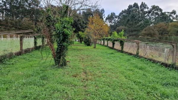 Terreno en camino Balada, 12