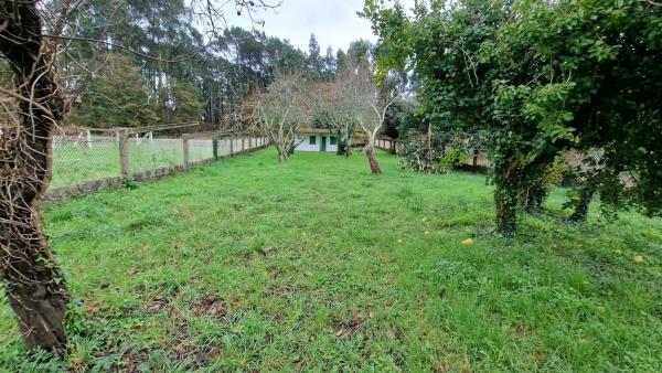 Terreno en camino Balada, 12