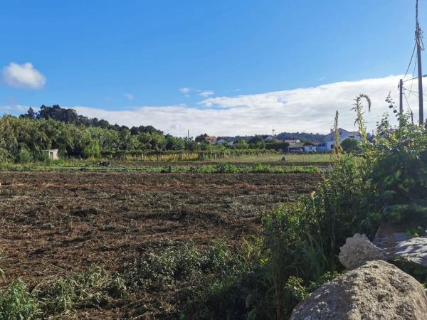 Terreno en O Carril - Bamio
