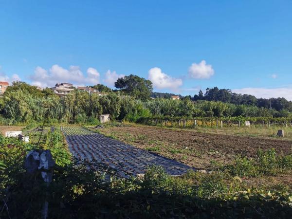 Terreno en O Carril - Bamio