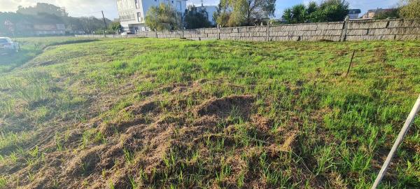 Terreno en camino 9212, 170