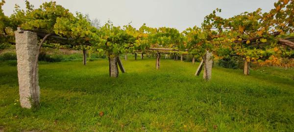 Terreno en Meaño s/n