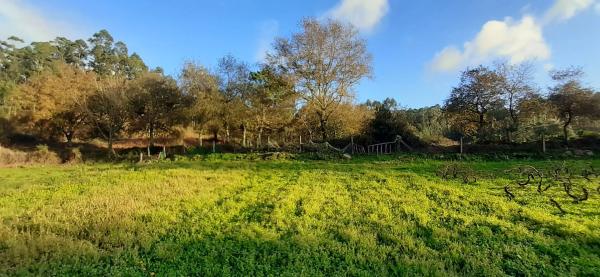 Terreno en Armenteira s/n LgVilarsn