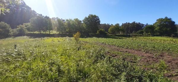 Terreno en Armenteira s/n LgVilarsn