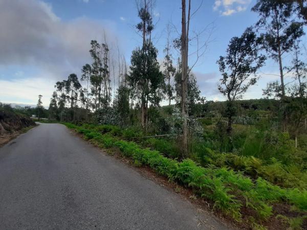 Terreno en calle Sarxento Solla, 1