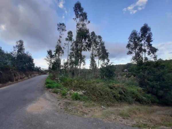 Terreno en calle Sarxento Solla, 1