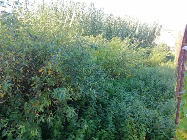 Terreno en calle Curros Enríquez, 30