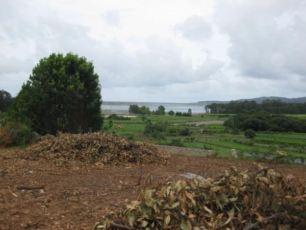 Terreno en Lugar Xesteira, km 2