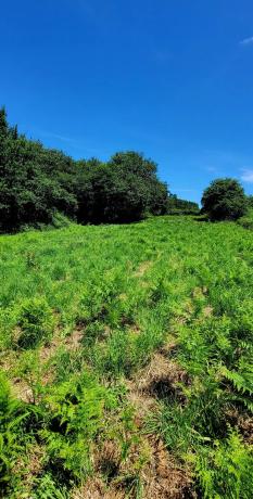 Terreno en Lugar Penente, 19