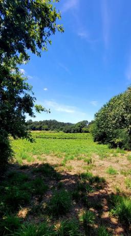 Terreno en Lugar Penente, 19