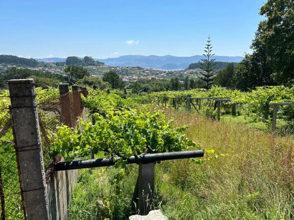 Terreno en Lugar Lamela, 11 a