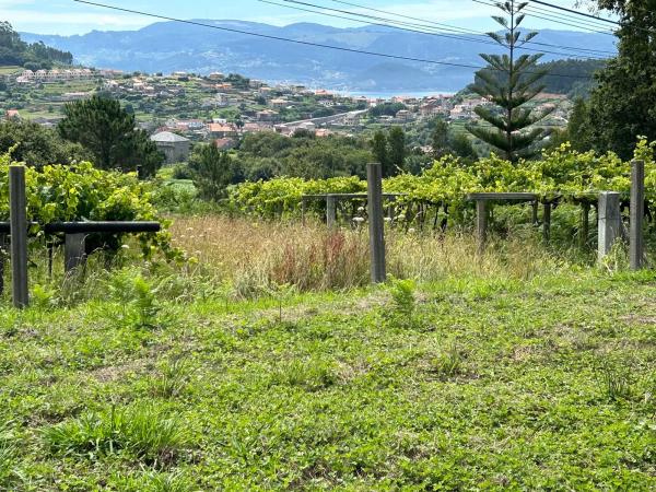Terreno en Lugar Lamela, 11 a