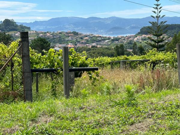Terreno en Lugar Lamela, 11 a