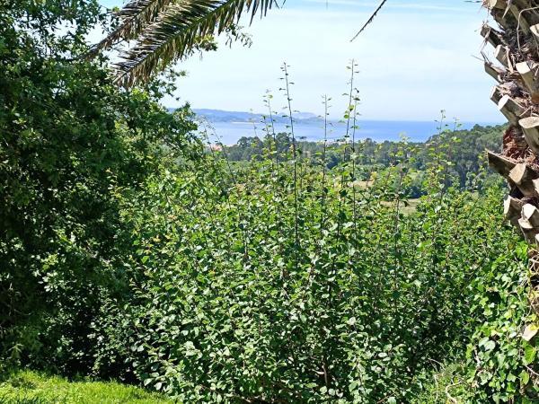 Terreno en Lugar Barreiro