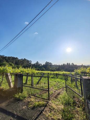 Terreno en calle caxín s/n