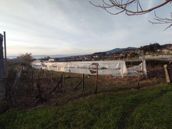 Terreno en Cornazo - Rubianes