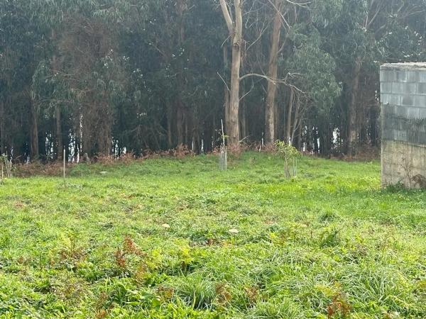 Terreno en calle Campo das Rubas s/n sn