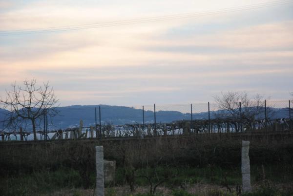 Terreno en Lugar Costa