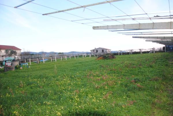 Terreno en Lugar Costa