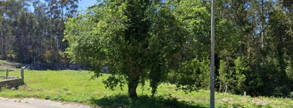 Terreno en Lugar Busto s/n