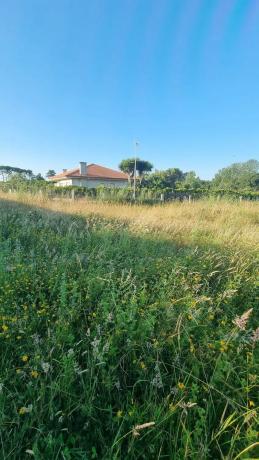 Terreno en calle a Lanzada, 72