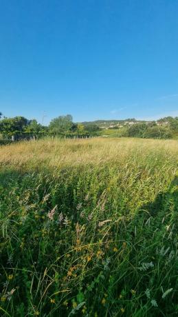 Terreno en calle a Lanzada, 72