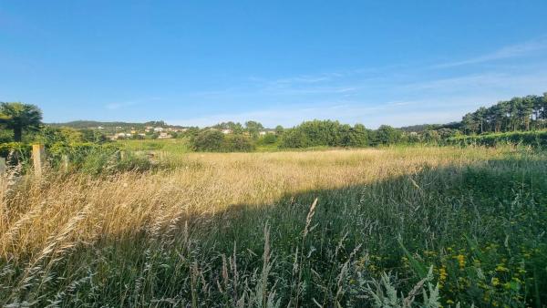 Terreno en calle a Lanzada, 72