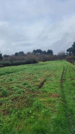 Terreno en C5jw+mr s/n