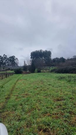 Terreno en C5jw+mr s/n