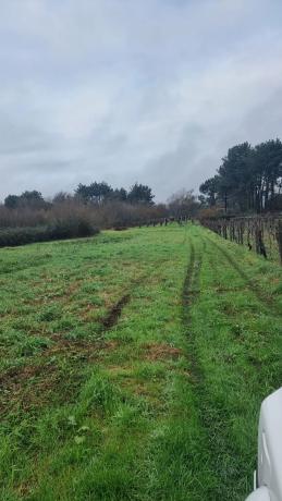 Terreno en C5jw+mr s/n