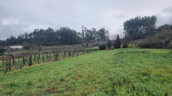 Terreno en C5jw+mr s/n