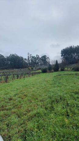 Terreno en C5jw+mr s/n