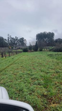 Terreno en C5jw+mr s/n