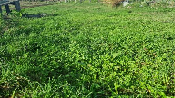 Terreno en Lugar saramagoso s/n