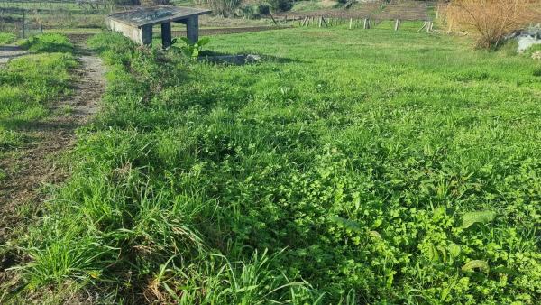 Terreno en Lugar saramagoso s/n