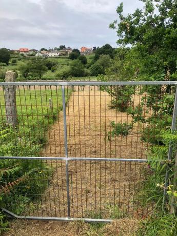 Terreno en calle da Cruz de Cornazo, 11