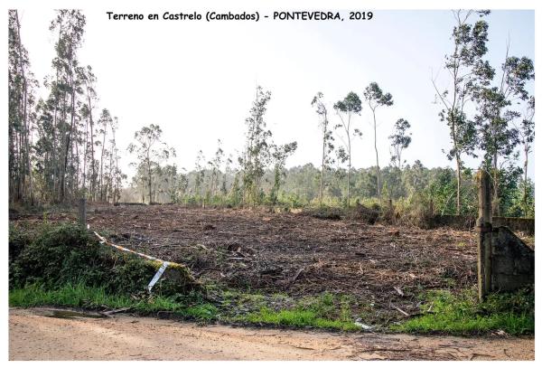 Terreno en Fontaiña s/n sn
