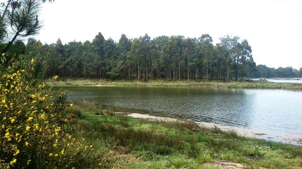Terreno en Fontaiña s/n sn
