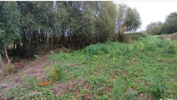 Terreno en cálago s/n