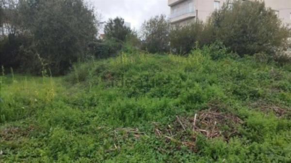 Terreno en cálago s/n