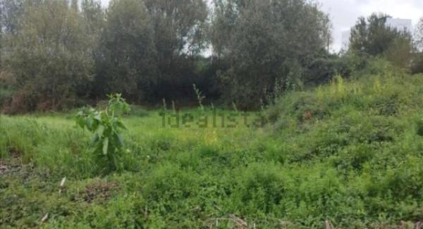 Terreno en cálago s/n