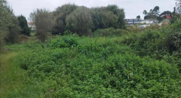 Terreno en cálago s/n